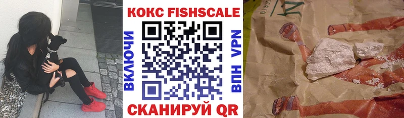 закладки  Каргат  даркнет какой сайт  COCAIN Эквадор 