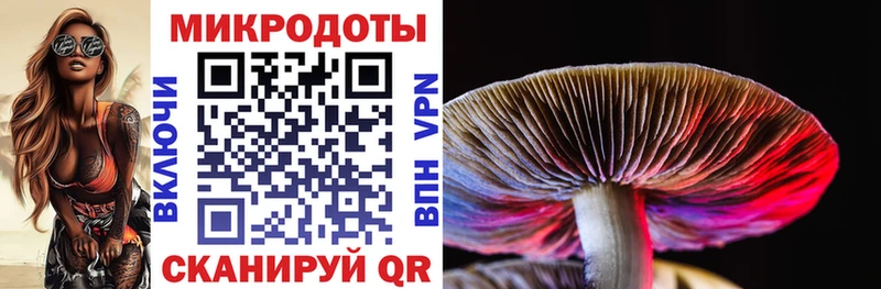 цены наркотик  Каргат  Галлюциногенные грибы Magic Shrooms 